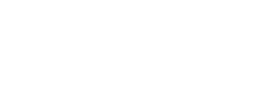BizWin Digital Logo